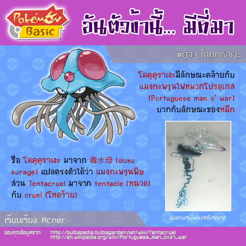 073. Tentacruel - โดคุคุราเงะ
