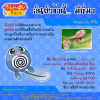 060. Poliwag - เนียวโรโม่