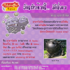 110. Weezing - มาตาโดกัส