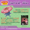 045. Vileplume - ราเฟรเซีย