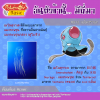 072. Tentacool - เมโนคุราเงะ