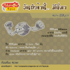 074. Geodude - อิชิสึบุเตะ