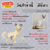 053. Persian - เปอร์เซียน